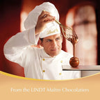 Lindt LINDOR Hazelnut Chocolate Truffles, 7.05 oz200 g