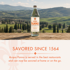 Acqua Panna Natural Spring Water – Smooth Taste from Toscana, 8.45 fl oz (250 ml), 24 Pack