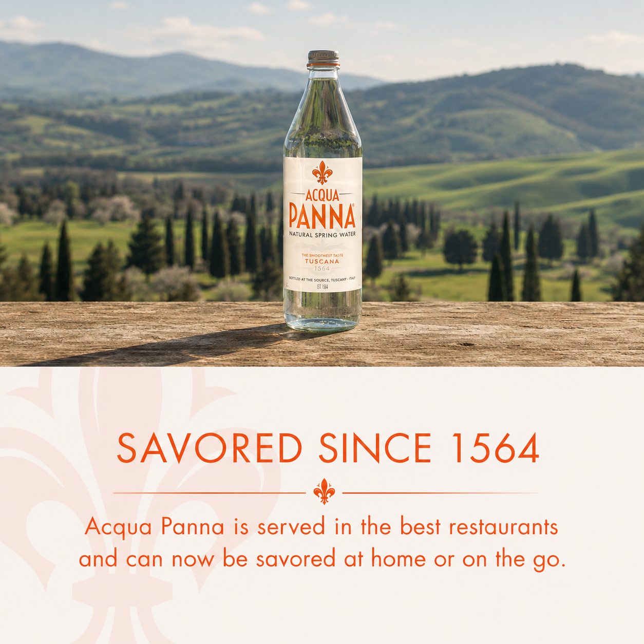 Acqua Panna Natural Spring Water – Smooth Taste from Toscana, 8.45 fl oz (250 ml), 24 Pack