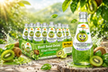 American Delight Basil Seed Drink | Kiwi Flavored Fruit Drink with Basil Seeds | Pack of 24 x 300ml Each | Ready to Serve Refreshment
